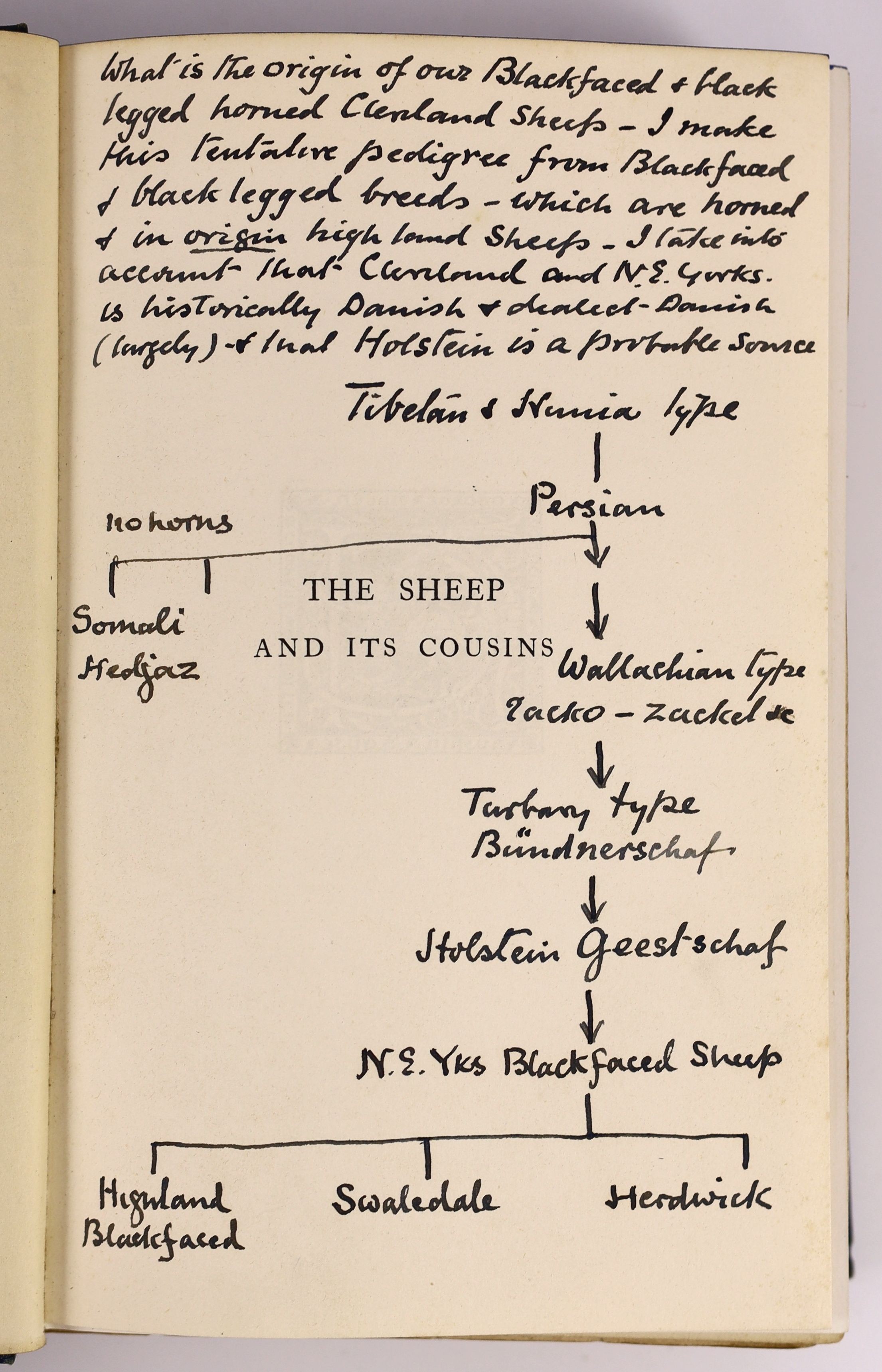 Lydekker, Richard. The Sheep and its Cousins. With 61 Illustrations. London, 1913. Original, slightly rubbed, cloth binding. * This copy signed by Alfred E[Edward] Pease with his notes in ink and pencil throughout the bo